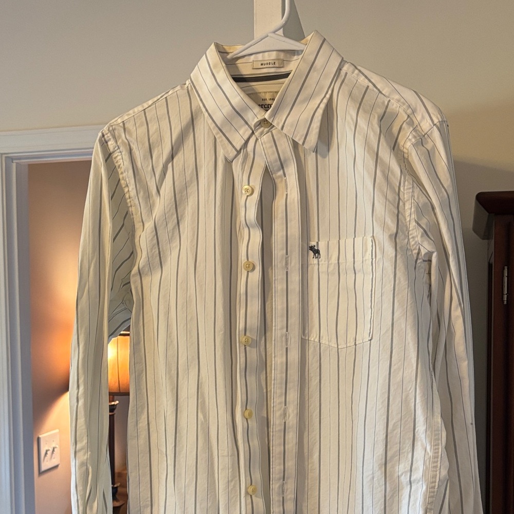 Abercrombie & Fitch White and Gray Muscle Fit Striped Button-Down Shirt